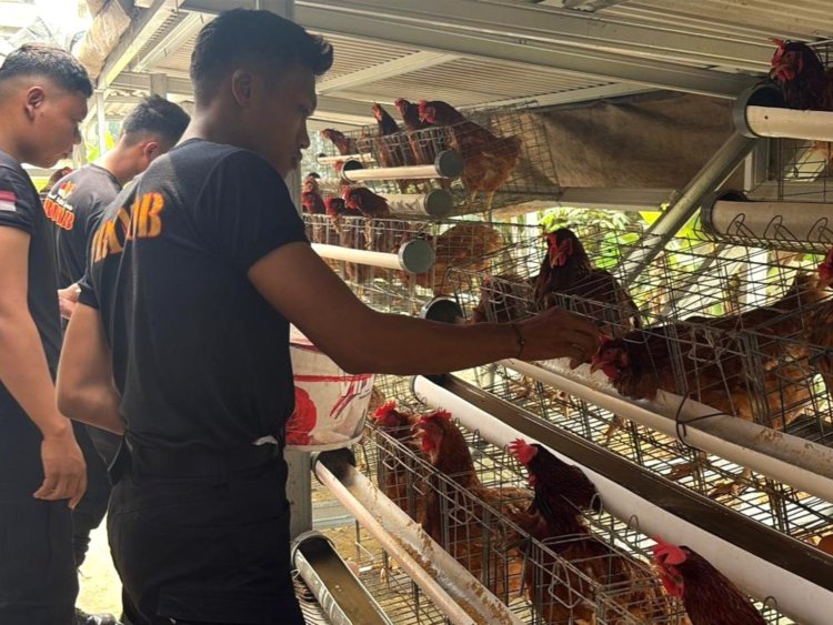 Brimob Polda Metro Jaya Budidaya Ayam Petelur di Lahan P2L, Dukung Program Ketahanan Pangan Nasional