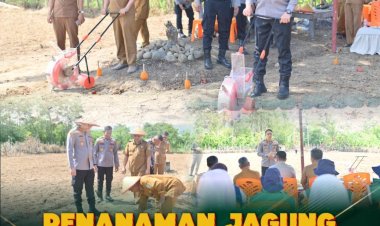 Kapolres Pidie Bersama Kapolsek Keumala Laksanakan Penanaman Jagung Kuartal IV di Gampong Jijiem Dukung Swasembada Pangan 2025