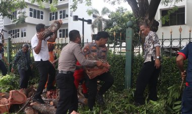 Ditpamobvit Polda Metro Jaya Gerak Cepat Evakuasi Pohon Tumbang Dekat Stasiun MRT Jakarta