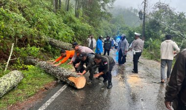 Polres Aceh Tengah Sigap, Jalur Takengon–Bintang Kembali Lancar Pasca Pohon Tumbang