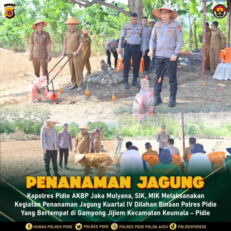 Kapolres Pidie Bersama Kapolsek Keumala Laksanakan Penanaman Jagung Kuartal IV di Gampong Jijiem Dukung Swasembada Pangan 2025