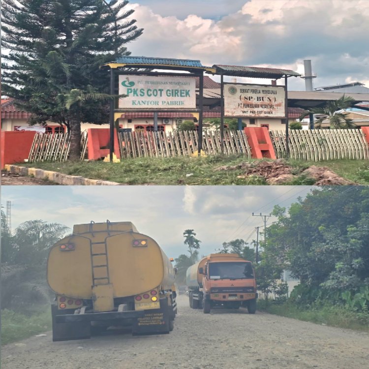 Manager PKS Cot Girek Tertutup? Wartawan Akui Sulit Temui Basri untuk Konfirmasi