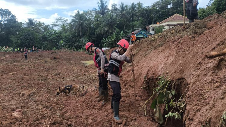 Polri Kerahkan Anjing Pelacak dalam Pencarian Korban Longsor Cilacap