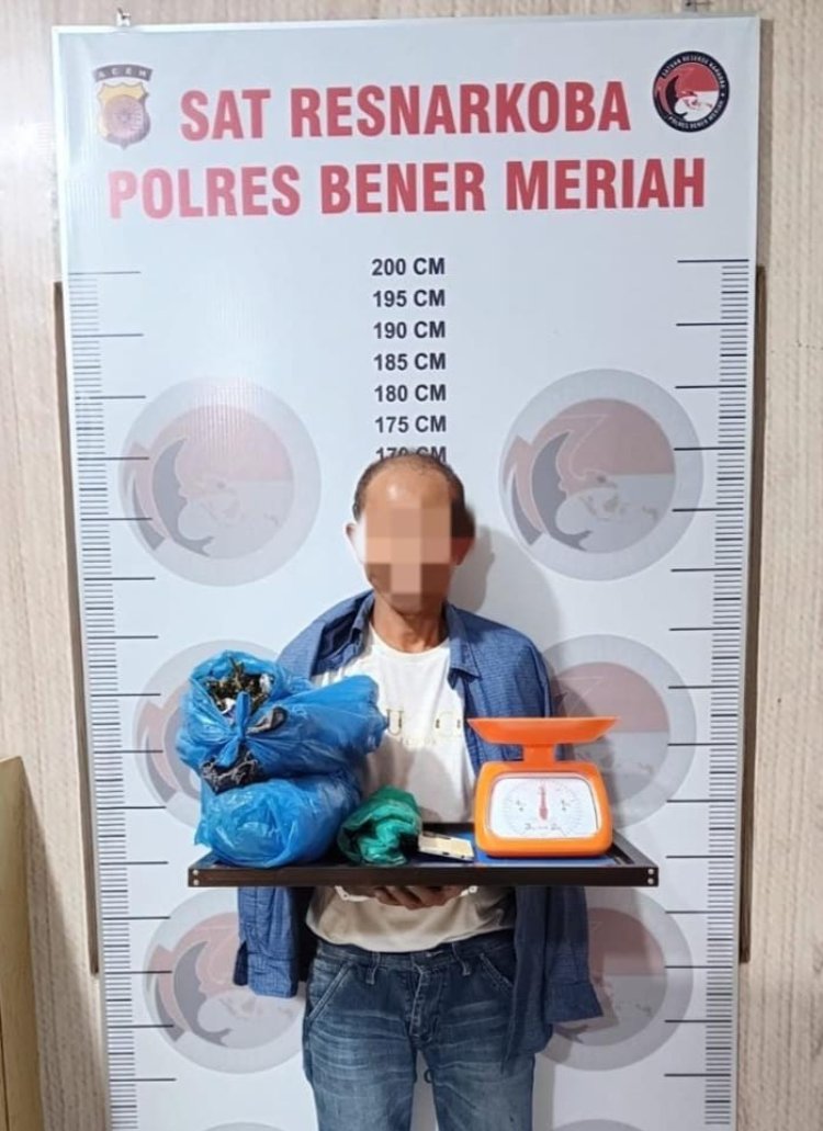 Polres Bener Meriah Tangkap Pengedar Ganja di Kampung Rime Raya, Amankan Barang Bukti 1,2 Kg