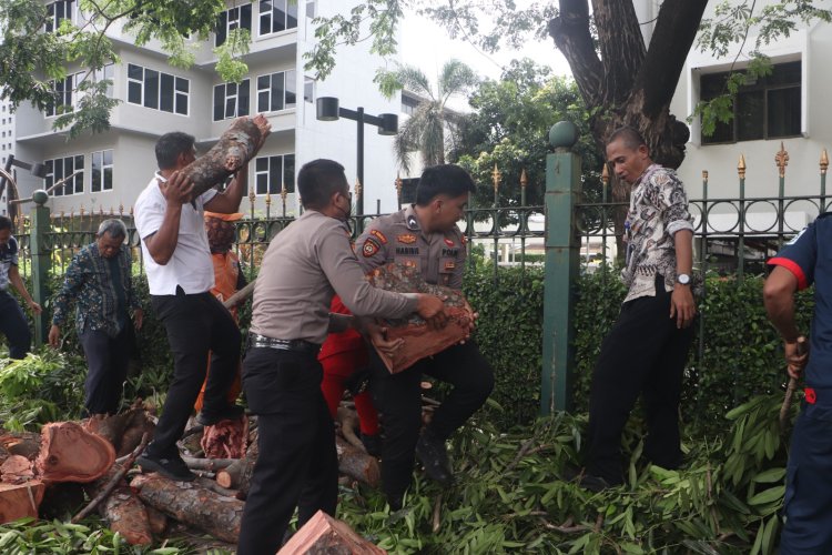 Ditpamobvit Polda Metro Jaya Gerak Cepat Evakuasi Pohon Tumbang Dekat Stasiun MRT Jakarta
