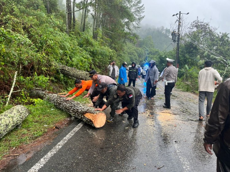 Polres Aceh Tengah Sigap, Jalur Takengon–Bintang Kembali Lancar Pasca Pohon Tumbang