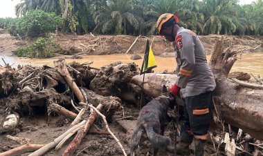 Tim K9 Ditpolsatwa Baharkam Polri Bantu Pencarian Korban Bencana di Bantaran Sungai Huta Raja