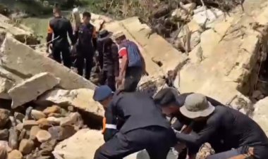 Brimob Polda Kaltara Membangun Jembatan Roboh di Tapal Batas, Sebatik Tengah