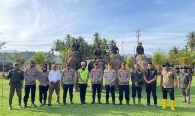 Sinergi Polri dan BKSDA : Gajah Dikerahkan Bersihkan Material Banjir di Pidie Jaya