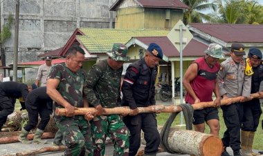 Sinergitas TNI Polri dan Masyarakat Bangun Jembatan Darurat di Aceh Singkil