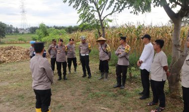 ‎Kapolres Metro Bekasi Tinjau Lahan Jagung di Desa Sukamahi, Dorong Dukungan Terhadap Ketahanan Pangan Nasional