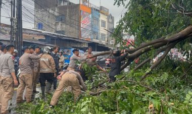 Sigap Brimob Metro Jaya Tangani Pohon Tumbang di Ciputat