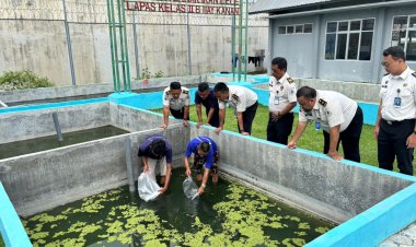 Dukung Kemandirian Pangan Melalui Program Perikanan, Lapas Way Kanan Tebar 800 Bibit Ikan Nila dan Ikan Gurame.