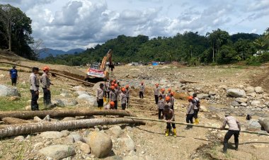 Pemulihan Akses Warga, Brimob Jambi Bangun Jembatan Darurat Antar Desa Kampung Tengah Timur dan Padang Landua