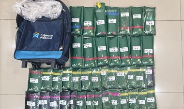 ‎Polda Metro Bongkar Modus Kirim Ganja Pakai Paket Online, Sita 2,3 Kg Barang Bukti