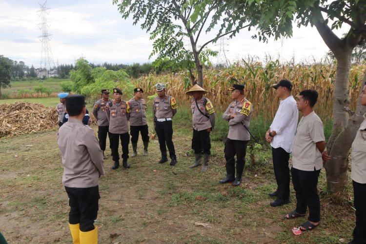 ‎Kapolres Metro Bekasi Tinjau Lahan Jagung di Desa Sukamahi, Dorong Dukungan Terhadap Ketahanan Pangan Nasional