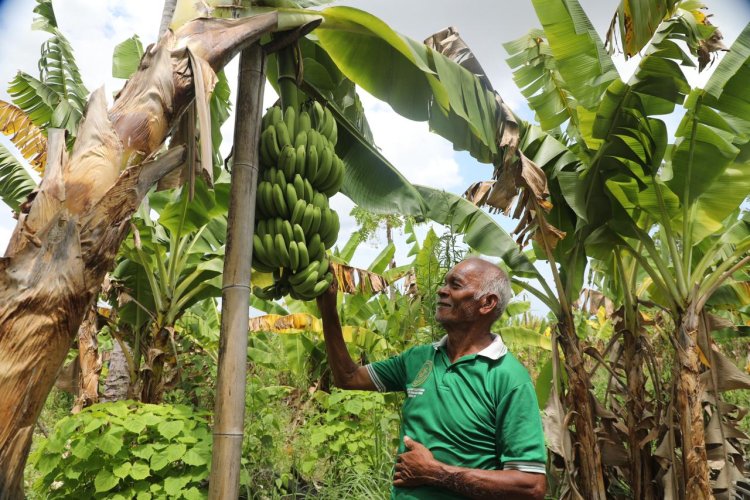 ‎Reforma Agraria Ubah Pola Pikir Warga Desa Baumata di Kabupaten Kupang, Hasilkan Peningkatan Penghasilan Petani