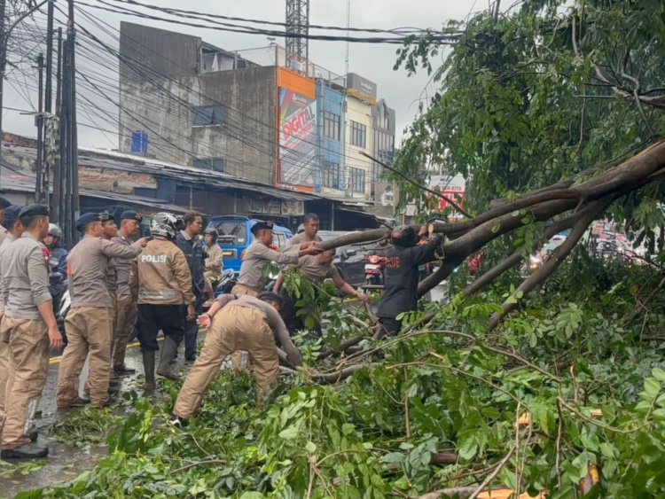 Sigap Brimob Metro Jaya Tangani Pohon Tumbang di Ciputat