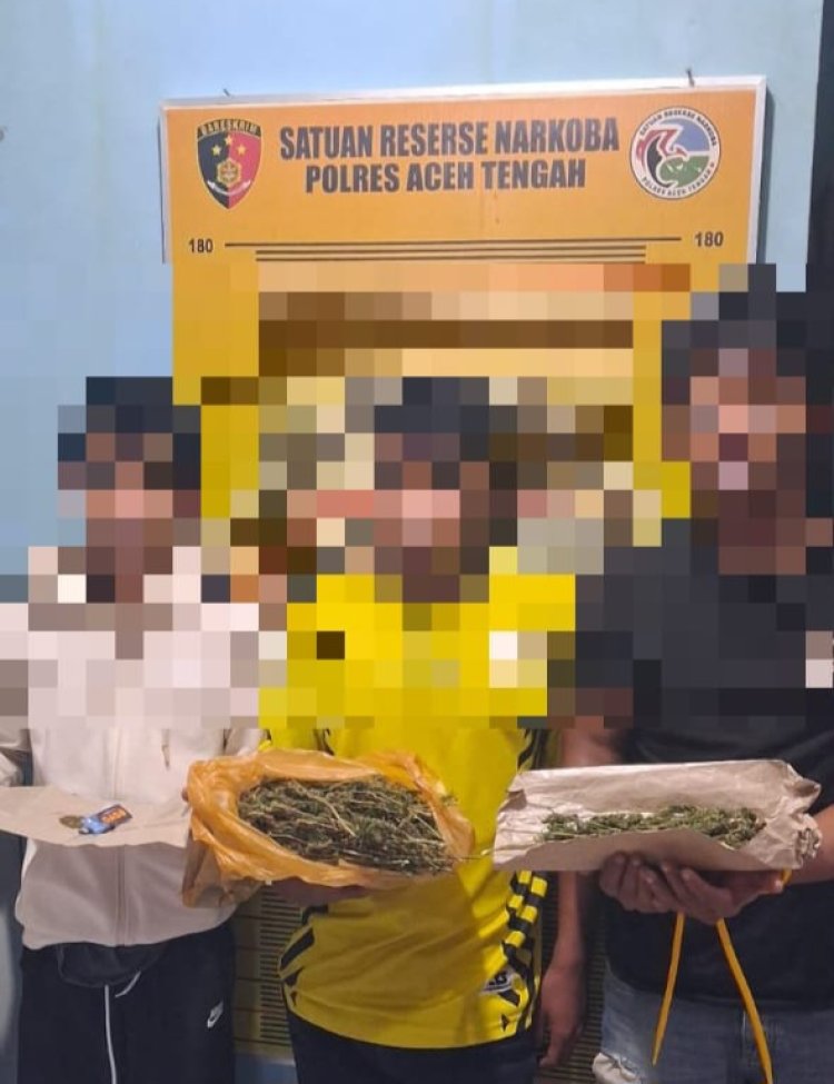 Sat Resnarkoba Polres Aceh Tengah Bongkar Peredaran Ganja, Tiga Tersangka Ditangkap
