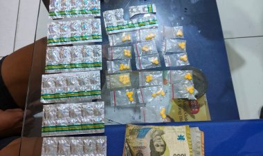 Berkedok Jual Sayur, Pelaku Peredaran Obat Keras Diamankan Polsek Sepatan