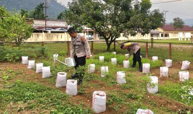 Bibit Bantuan Kapolda Aceh Ditanam Polres Aceh Timur untuk Bangkitkan Lingkungan dan Ekonomi
