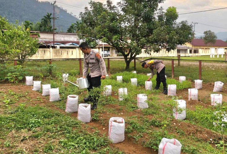 Bibit Bantuan Kapolda Aceh Ditanam Polres Aceh Timur untuk Bangkitkan Lingkungan dan Ekonomi