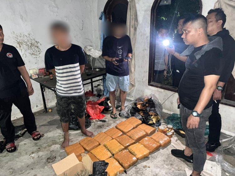 ‎Baru Satu Hari Menjabat, Kasubdit 2 Reserse Narkoba Polda Metro Jaya Catatkan Pengungkapan Besar : 18,8 Kilogram Ganja Diamankan