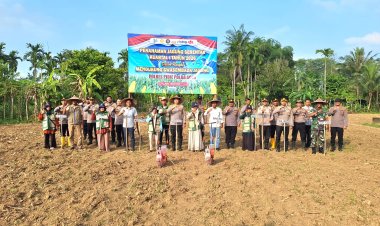 Kapolres Pidie Bersama Muspida Tanam Jagung di Keumala, Dukung Swasembada Pangan 2026