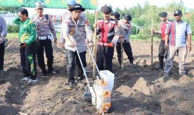 Polres Aceh Tengah Tanam Jagung Serentak Kuartal I 2026, Dukung Swasembada Pangan Nasional