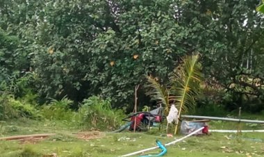 TAMBANG PASIR DI LEMONG PESIBAR, DIDUGA ILEGAL