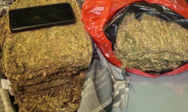 Polda Metro Jaya Mengagalkan Peredaran 4,3 KG Ganja Di Wilayah Depok