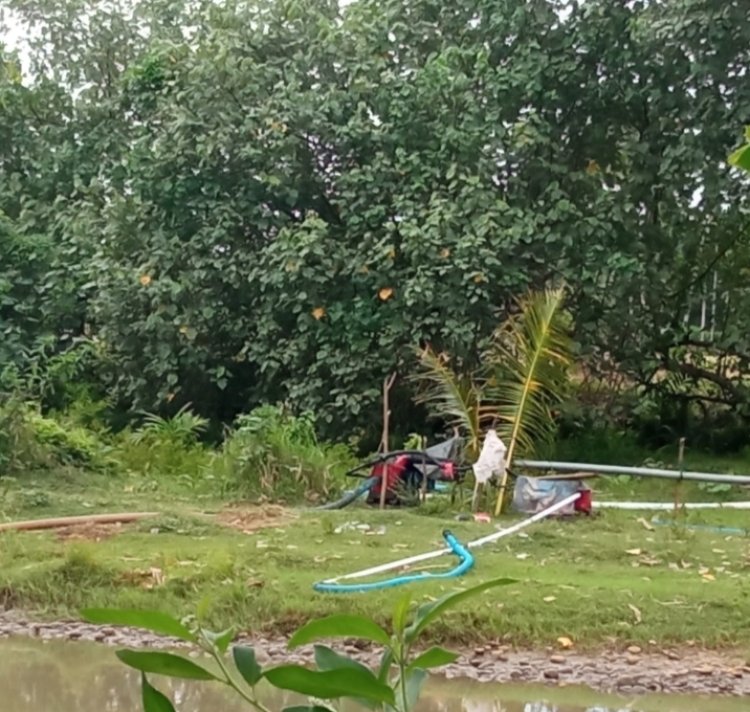TAMBANG PASIR DI LEMONG PESIBAR, DIDUGA ILEGAL