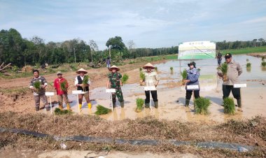OKU TIMUR, untuk memperkuat serta mendukung program pemerintah pusat ketahanan pangan
