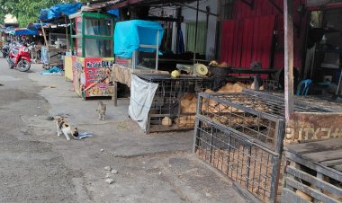Pedagang Meradang! Penertiban Dinilai Tebang Pilih—Eddy Muhkti, Tarmizi, dan Kaoi ‘Tutup Mata’ Kios Arah Pekong?