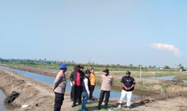 Ditpolairud Polda Metro Jaya Tebar 300 Ribu Benih Udang Windu di Muaragembong Bekasi