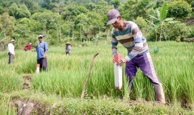 Pasang Patok, Cara Sederhana Cegah Sengketa Tanah dengan Tetangga