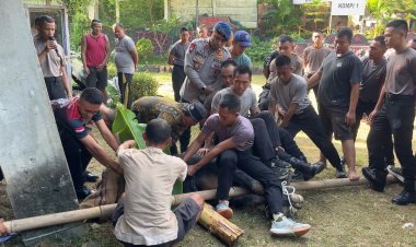 Batalyon D Pelopor Gelar Penyembelihan Hewan Qurban Idul Adha 2026