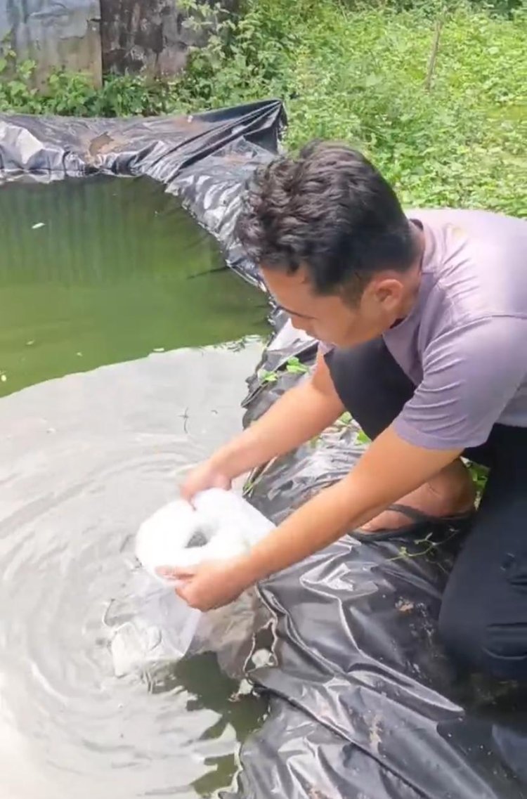 Dukung Ketahanan Pangan, Polsek Kasui Sebar Ratusan Benih Ikan Nila