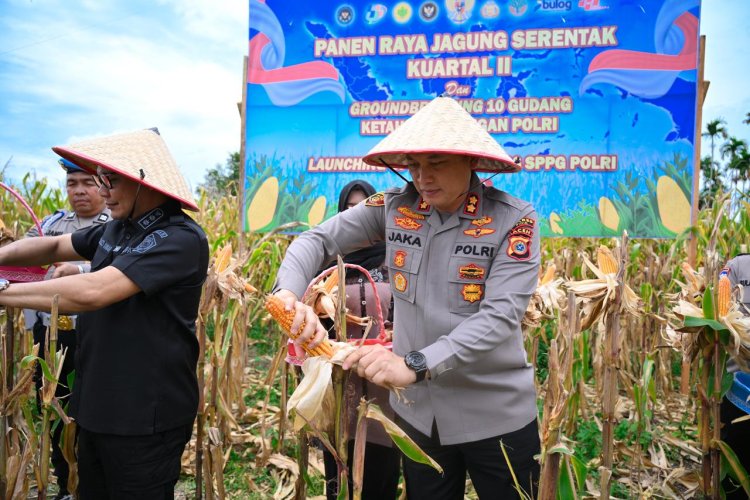 Polres Pidie Hadiri Panen Raya Jagung Serentak Kuartal II, Dukung Swasembada Pangan Nasional