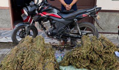 Sat Resnarkoba Polres Aceh Tengah Sita 45 Kg Ganja, Kurir Antar Kabupaten Dibekuk