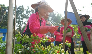Dari Lahan Produktif ke Ketahanan Pangan, Kapolres Purwakarta Panen Sayur dan Ikan Bersama Bhayangkari
