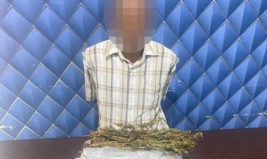 Pengembangan Kasus Ganja, Polres Aceh Barat Sita 1,5 Kilogram Ganja dan Amankan Seorang Tersangka