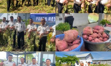 Sukseskan Program Ketahanan Pangan, LPKA Kelas II Banda Aceh Gelar Panen Raya Ubi Rambat