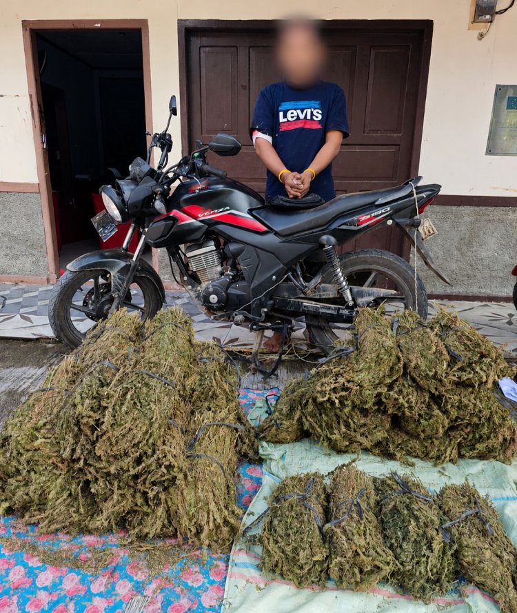 Sat Resnarkoba Polres Aceh Tengah Sita 45 Kg Ganja, Kurir Antar Kabupaten Dibekuk