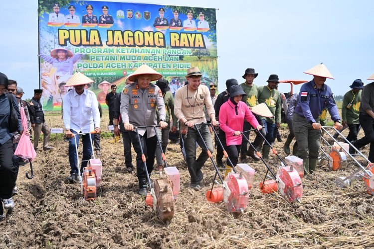 Tanam Jagung Raya 40 Hektare di Pidie, Polda Aceh dan Petani Muda Perkuat Ketahanan Pangan Nasional