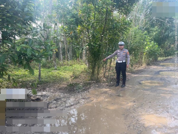 Polisi Gerak Cepat Tangani Kecelakaan Tunggal Truk Pengangkut Ternak di Banjit Way Kanan