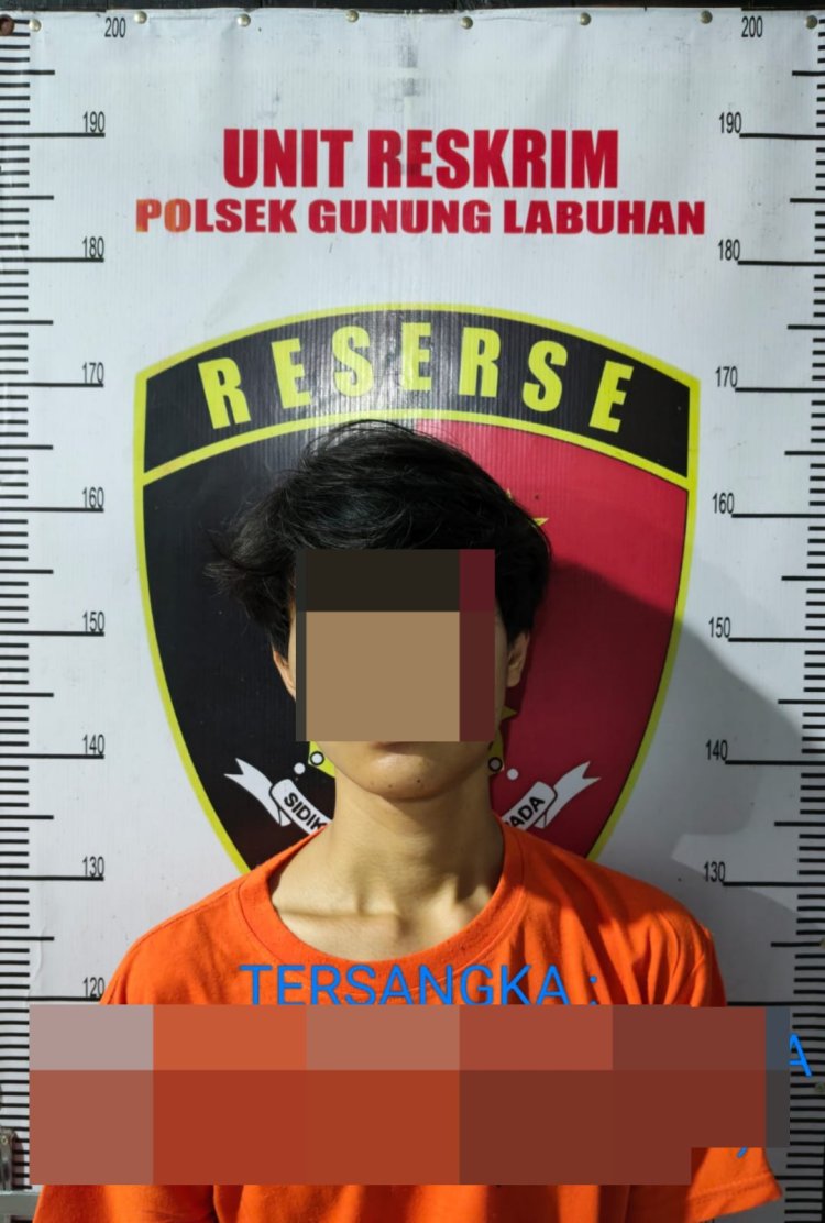 Polsek Gunung Labuhan Ringkus Diduga Pelaku Curat Perhiasan Cincin Emas
