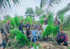 Polres Langsa Bongkar Ladang Ganja di Perkebunan Sawit, 83 Batang Tanaman Siap Panen Diamankan