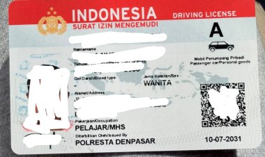 Dugaan Pungli Penerbitan SIM Tanpa Prosedur Resmi di Satpas Polresta Denpasar : Ancaman Integritas dan Keselamatan Lalu Lintas