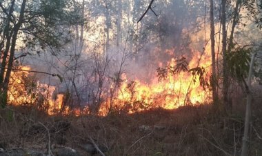 Waspada Musim Kemarau: Potensi Kebakaran Hutan Meningkat, Masyarakat dan Pemkab Way Kanan Diminta Bersiap   